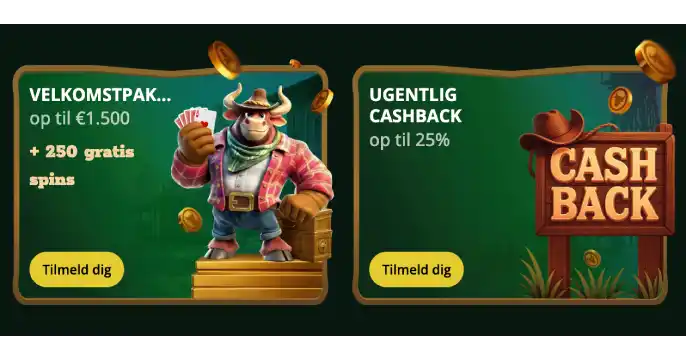 CowboySpin